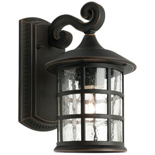 Bronze Shivani Outdoor Wall Light